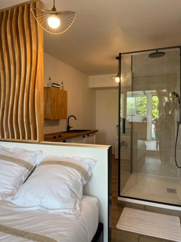 une chambre avec une douche en verre et un lit dans l'établissement InstantNu, au Cap d'Agde