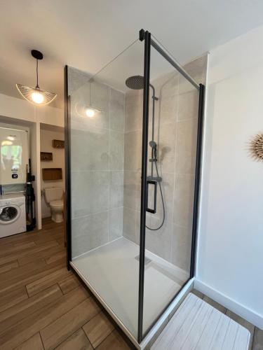 une douche avec une porte vitrée dans une salle de bain dans l'établissement InstantNu, au Cap d'Agde