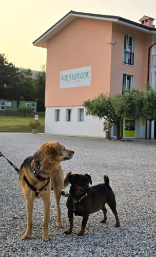 two dogs on a leash in front of a building at Bran & Denise Residence in Costermano sul Garda