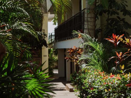 Ein Garten an der Unterkunft HS HOTSSON Hotel Tampico