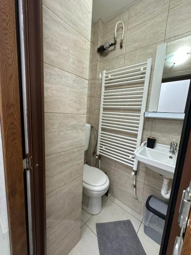 a small bathroom with a toilet and a sink at Central Studio in Piteşti