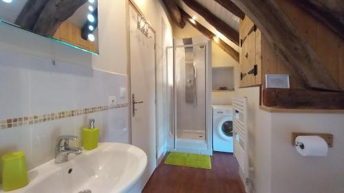 une salle de bain avec un lavabo et une machine à laver dans l'établissement L'Ecrin du Val de Louyre, à Lentignac