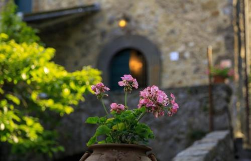 Κήπος έξω από το Autentica casa di compagna toscana