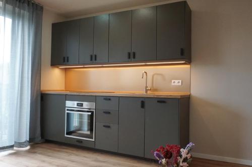 a kitchen with gray cabinets and a sink at Panorama Apart Fichtelberg in Fichtelberg