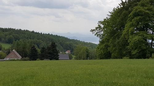 a field of green grass with a house and trees at Chata Rosa in Klíny