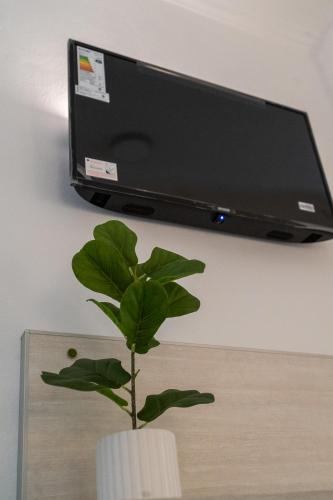 a plant in a white vase next to a tv at Hotel PUERTO A in Gualeguaychú