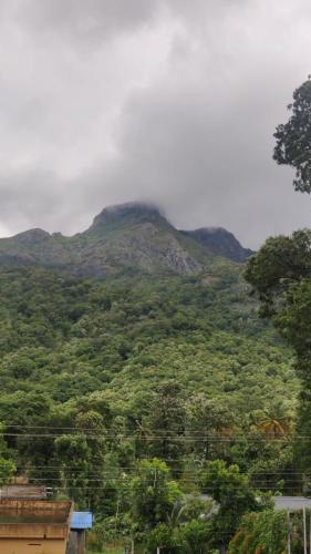Un paisaje natural cerca del hotel cápsula