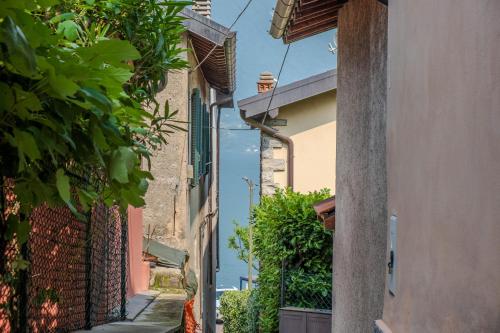 an alley way between two buildings with plants at Villa Nonni in Acquaseria