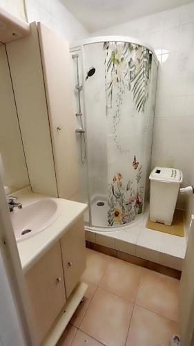 une salle de bain avec une douche, un lavabo et des toilettes dans l'établissement Bel appartement 4 couchages, climatisé, magnifique vue rade de Toulon, à Saint-Mandrier-sur-Mer