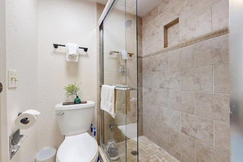 a bathroom with a toilet and a glass shower at Snowmas Village A4 in Snowmass Village