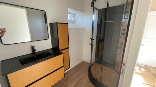 une salle de bain avec une douche avec un lavabo et un miroir dans l'établissement maison de ville, à Saint-Pierre-de-Plesguen