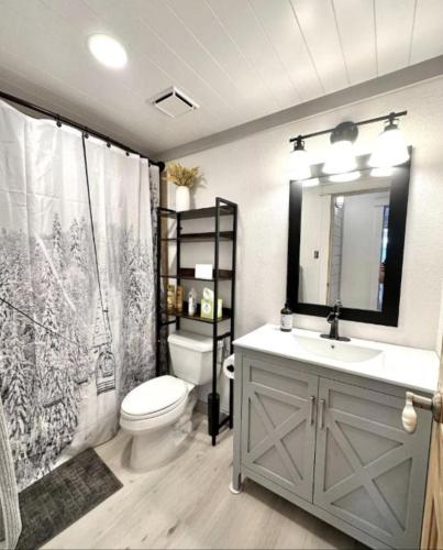 a bathroom with a sink and a toilet and a mirror at Remodeled Ski in and ski out Condo! in Breckenridge