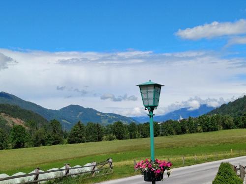 a green street light with flowers on a road at Apartments Haufhof , Haus im Ennstal bei Schladming in Haus im Ennstal