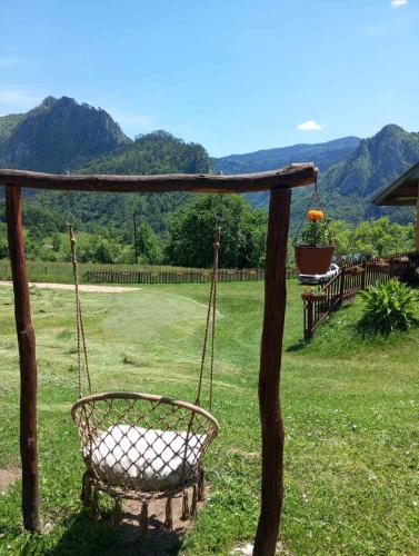 a swing in a yard with mountains in the background at Family owned self sufficient ECO farm TARA in Pljevlja