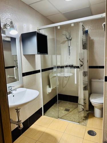 a bathroom with a shower and a sink and a toilet at Apartamentos Alcazar de Baeza in Baeza