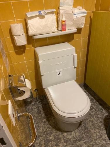 a bathroom with a white toilet in a room at Igoumenitsa heart flats to let Mariasroom studios appart seaside-city Spyropoulos in Igoumenitsa