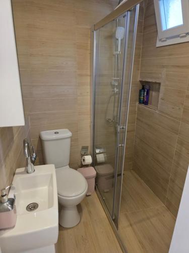 a bathroom with a shower and a toilet and a sink at Sevinc Akasya Luxury Villa in Milas