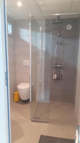une salle de bain avec toilettes et douche en verre dans l'établissement Réz de Jardin, à Saint-Martin-du-Mont
