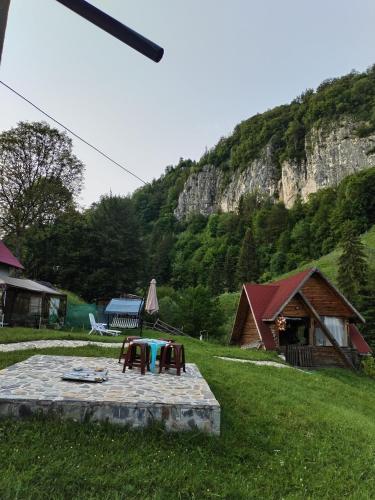 a picnic table in a field with a mountain at Casa Sara in Dîmbovicioara