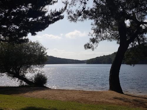 a large body of water with a tree next to it at KerJean in Caurel
