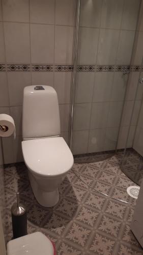 a bathroom with a white toilet in a room at Trivelig Stabbur på Lånke Gård 
