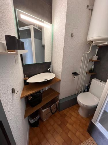 une salle de bain avec toilettes, lavabo et miroir dans l'établissement Evasion en Bord de Mer, au Barcarès