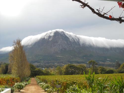 a mountain in the distance with a dirt road in front at Auberge Clermont in Franschhoek