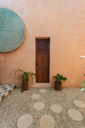 a door and two plants in front of a building at Casa Esther - Parque Santiago in Mérida