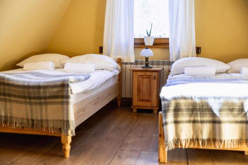 zwei Einzelbetten in einem Zimmer mit Fenster in der Unterkunft Domek Stroma 13 in Zakopane