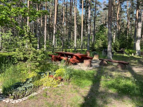 a group of picnic tables in the middle of a forest at Vesiroos Villa in Alajõe