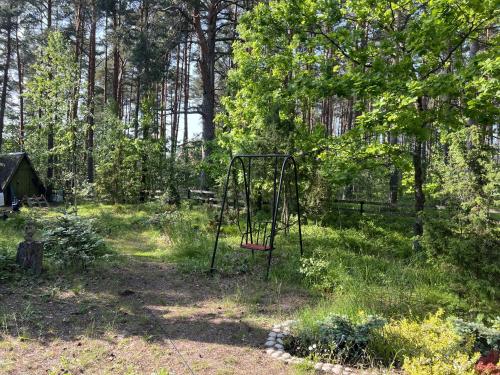 a swing set in the middle of a forest at Vesiroos Villa in Alajõe