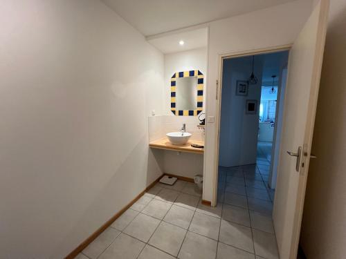 a bathroom with a sink and a mirror at Gîte de l'hortensia-Charmante maison de campagne au calme in Gourville