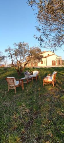 a group of benches sitting in the grass in front of a house at Podere Le Querce in Montebuono