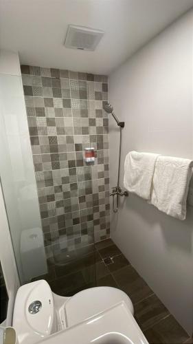 a small bathroom with a toilet and a shower at Hotel Boutique Brisas Colonial in Santo Domingo