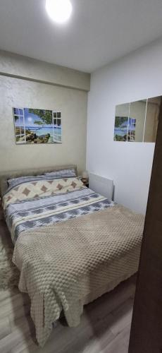 a bedroom with a bed in a room at Apartmani Marjanovic in Jagodina