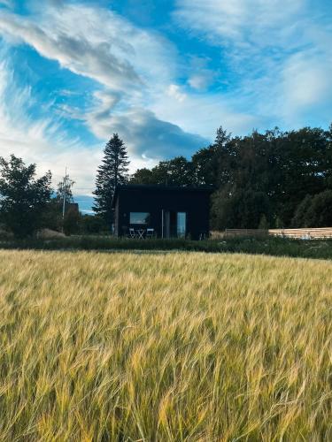 a house in the middle of a field of wheat at Field View Cabin in Örebro
