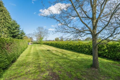 a tree in the middle of a grass road at Hall O'Coole in Nantwich