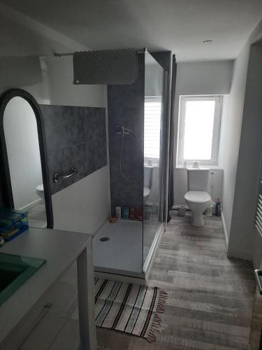 une salle de bain avec douche et toilettes dans l'établissement Charmante maison à Cérences avec jardin de 55 m², à Cerences
