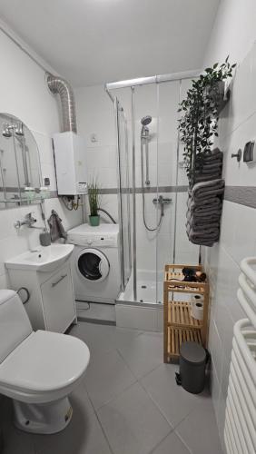a bathroom with a toilet sink and a shower at Apartament RYŚ Polanica Zdrój in Polanica-Zdrój
