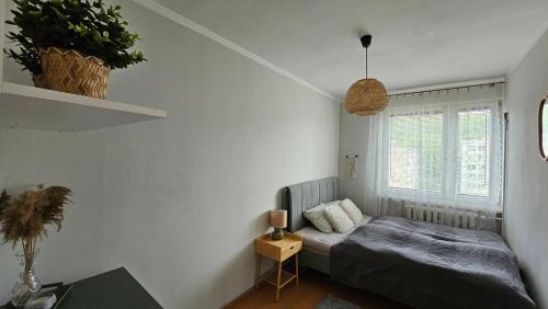 a bedroom with a bed and a window at Apartament RYŚ Polanica Zdrój in Polanica-Zdrój