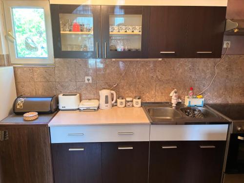 a kitchen with a sink and a counter top at Kuća na obali Save in Obrenovac
