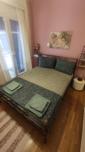 Whole Apartment 52 square meters in the neigboor of Pagrati in Athens