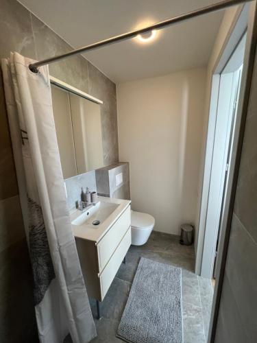 a bathroom with a sink and a toilet and a shower at Svečių namai PAS MEŠKĄ in Karklė