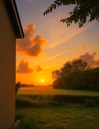 a sunset over a field with the sun in the sky at Guldmark in Lemvig