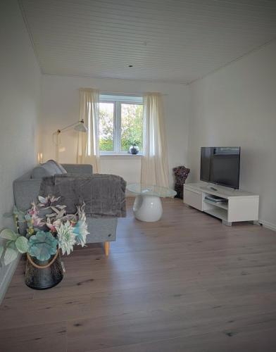 a living room with a couch and a tv at Guldmark in Lemvig