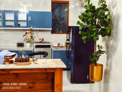 a kitchen with blue cabinets and a potted plant at SAAR Palampur Villa 5 BHK With Dhauladhaar Mountains View in Pālampur