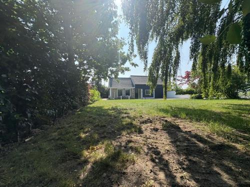 a house with a tree in front of a yard at Huis van alle winden in Ovezande