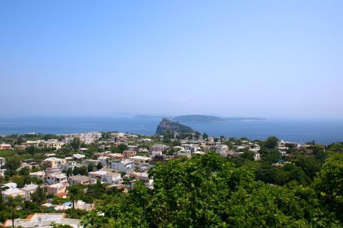 Panorama Carmelina photo 2