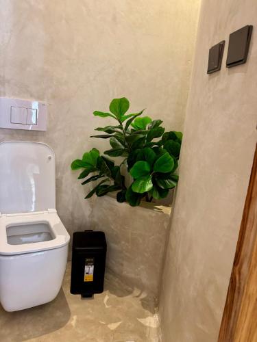 ナングウィにあるKai Zanzibar Hotel and Spaのギャラリーの写真
