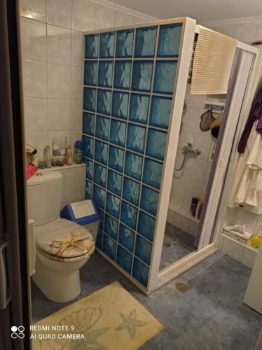 a bathroom with a toilet and a shower at Angelikis Shared Home in Pírgos